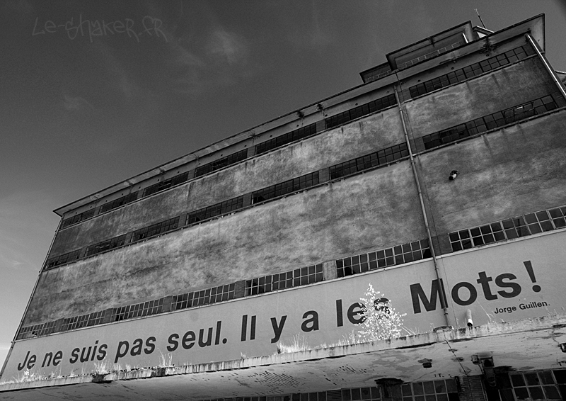 L&rsquo;amour des mots