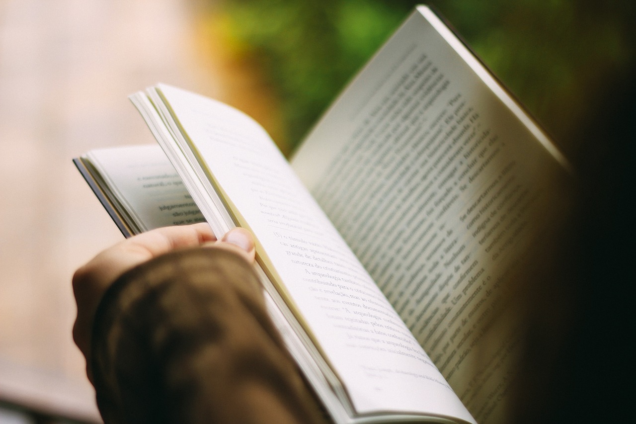Mes lectures du moment (10 Nuances d&rsquo;Indé partie2 )